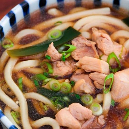 Chicken Udon Soup