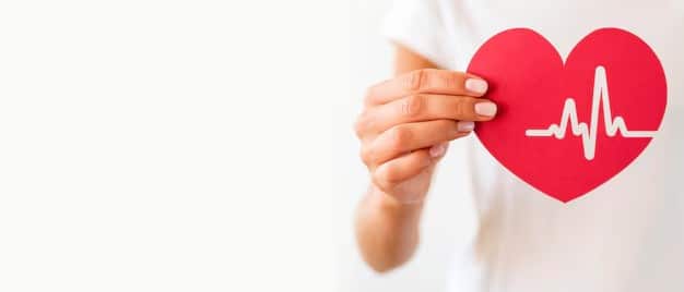 Realistic heart anatomy with arteries and veins visible