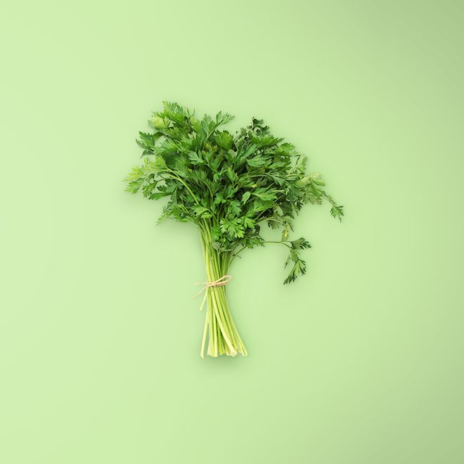 Parsley Ajmoda 