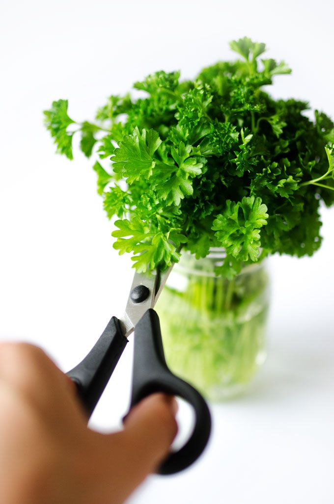 Person cutting through the herbs