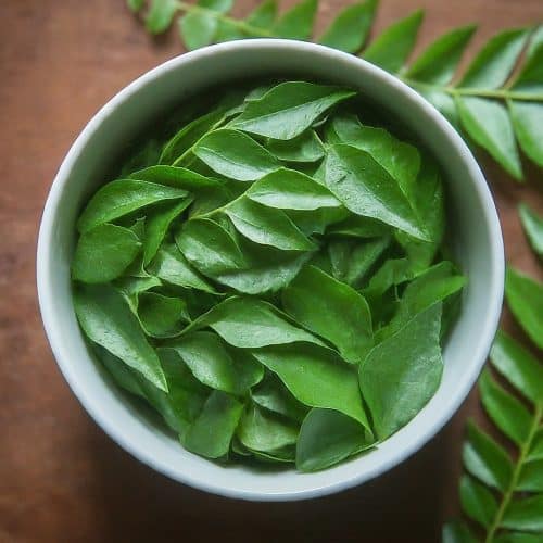 A bowl filled with fresh curry patta leaves, ready to be used in cooking