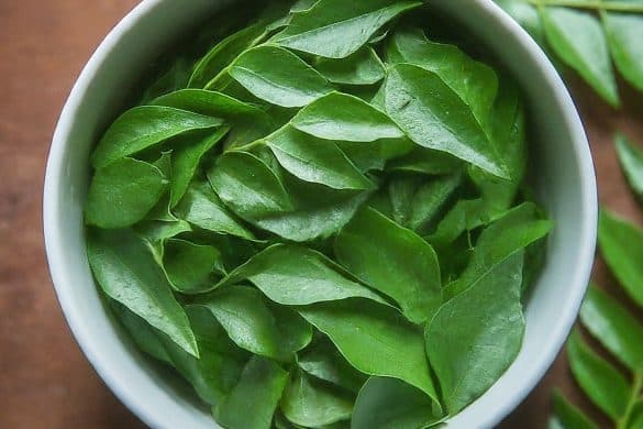 13 Lesser-Known Curry Leaves Benefits To Improve Your Health