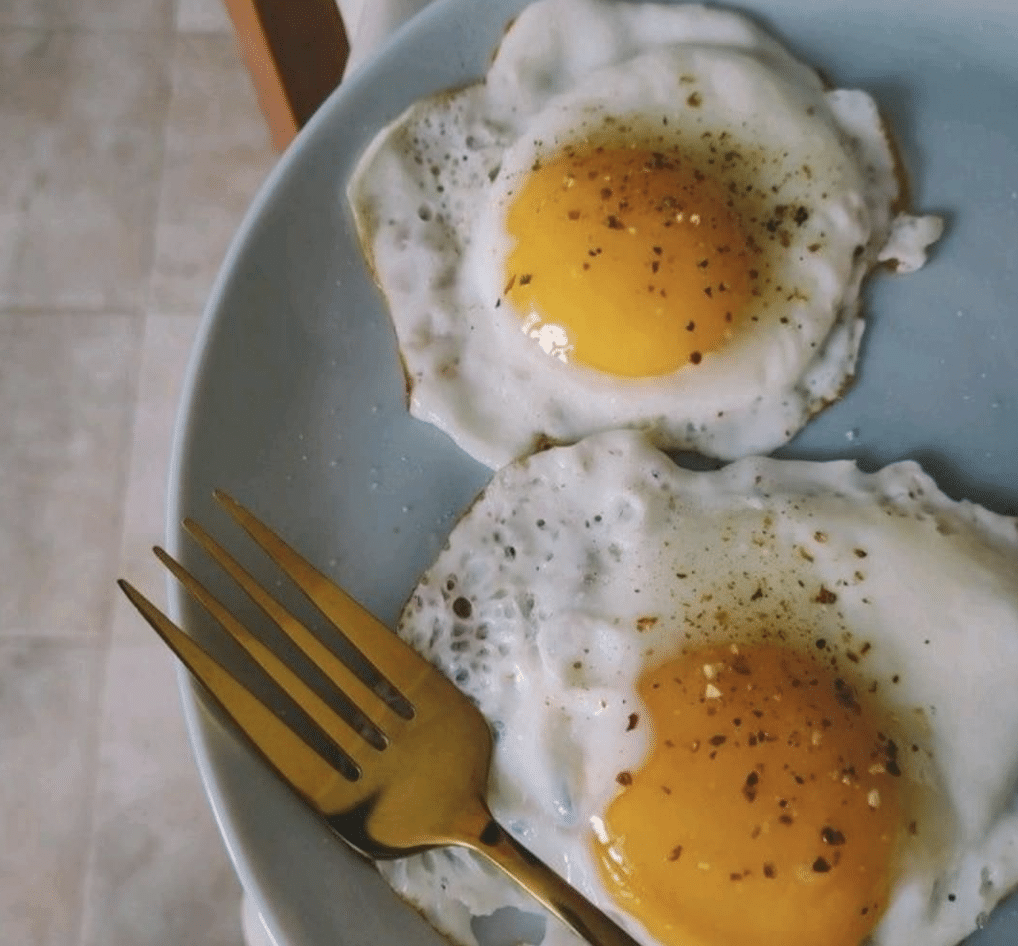 eggs