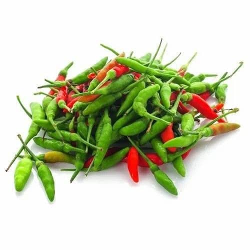 Green and red kanthari chillies, freshly picked.